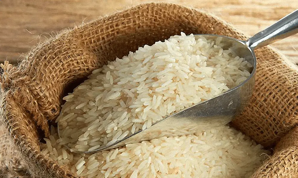 Combien de temps le riz cuit dure t il hors du réfrigérateur [2023